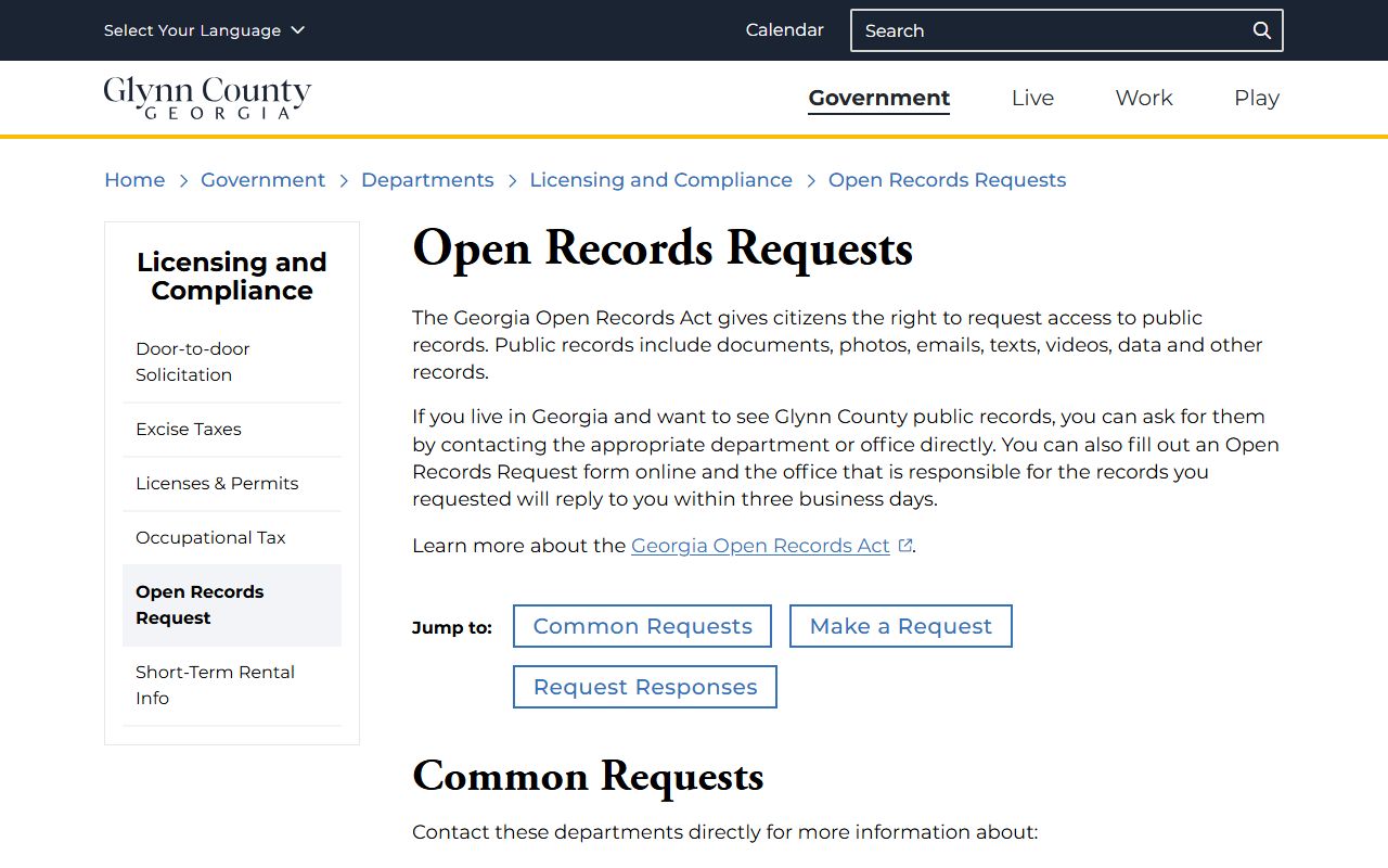 Glynn County court records open records request source